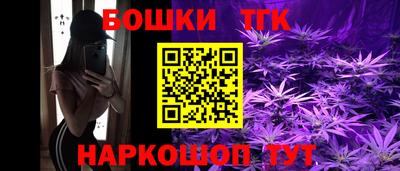 стафф Бийск